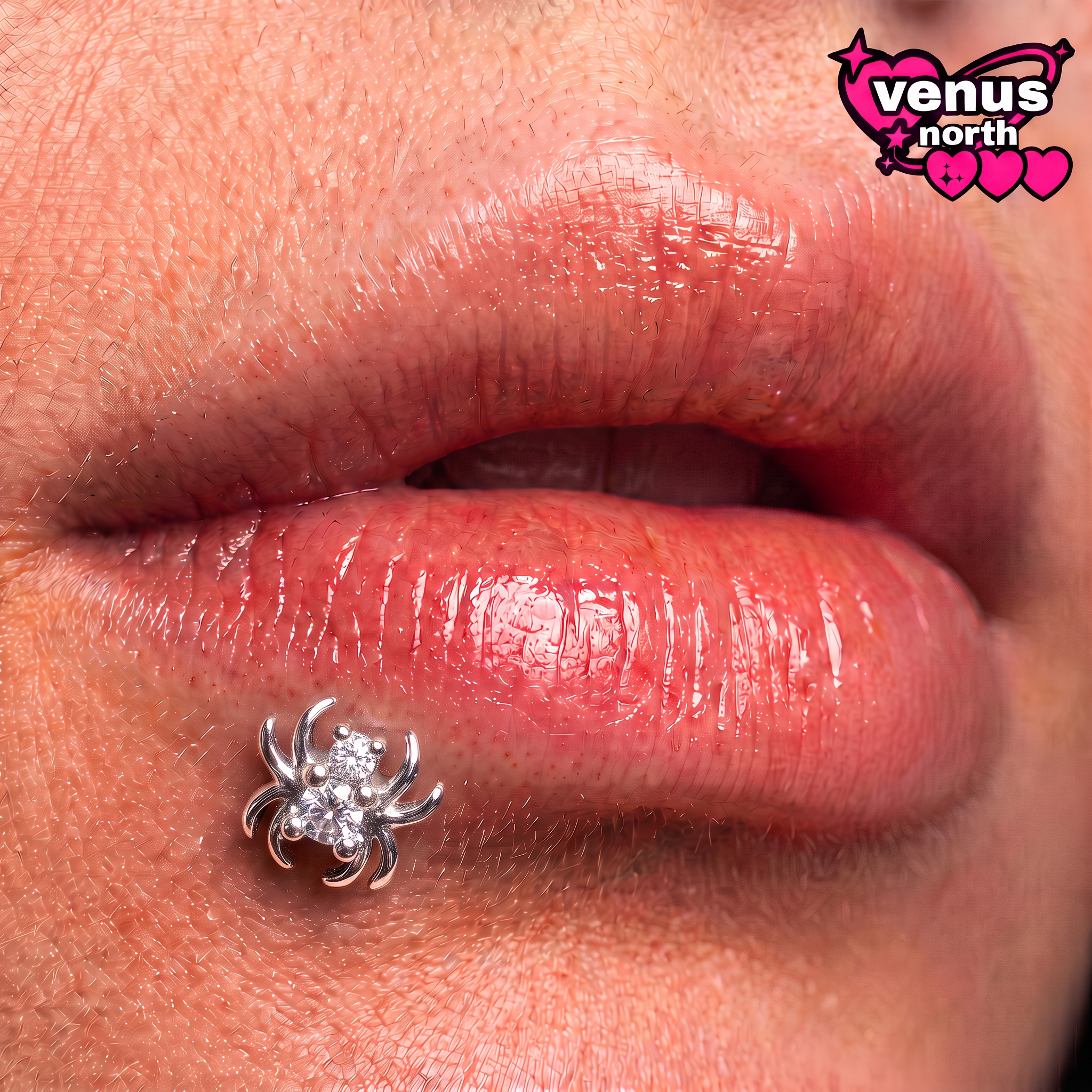 Spider charm labret stud