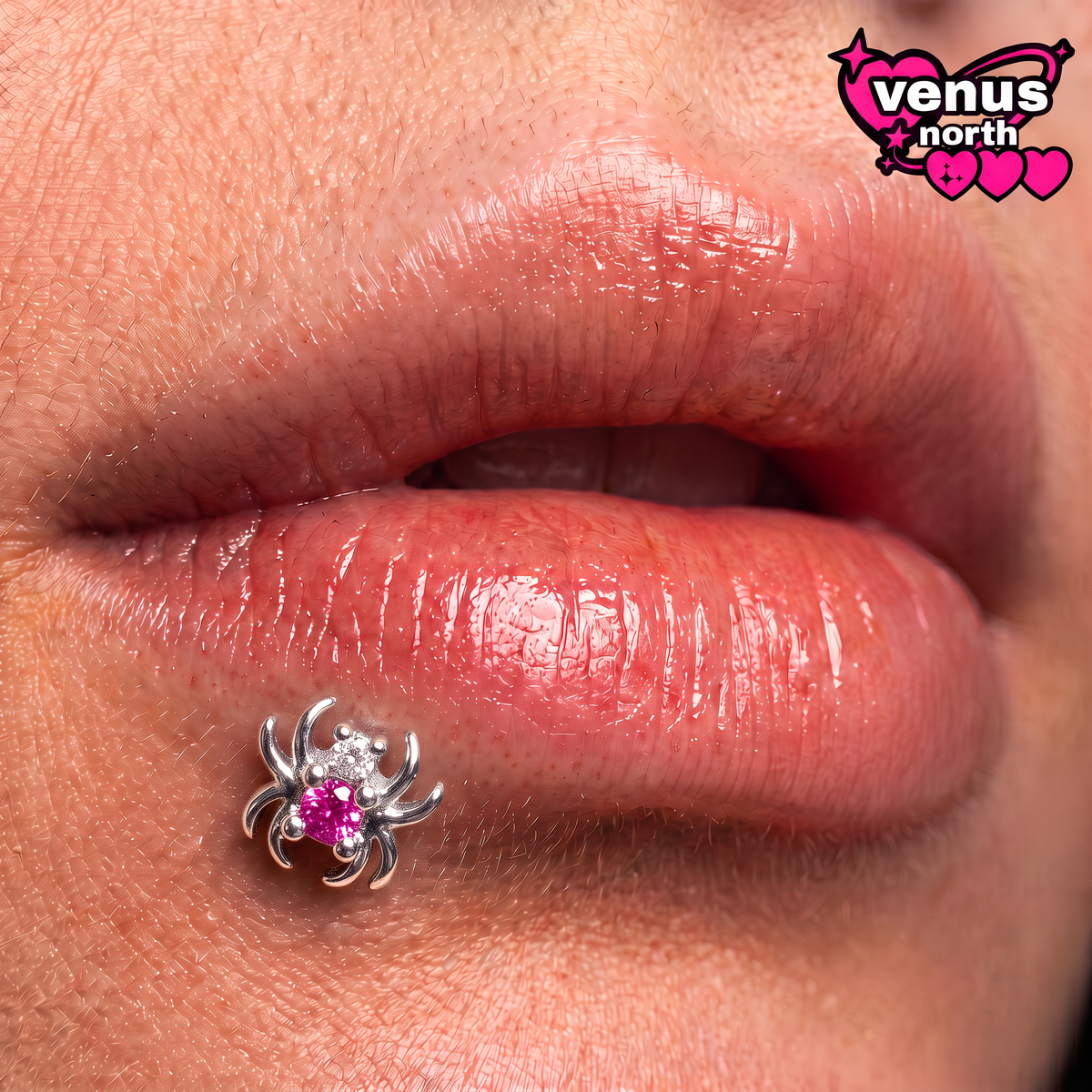 Spider charm labret stud